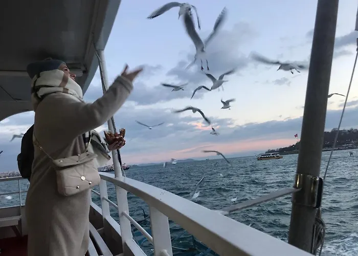 Ciragan's Omnia Отель Стамбул