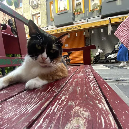 Szálloda Ciragan's Omnia *